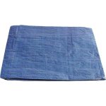 Extol Craft plachta PE nepromokavá standard 5 x 6 m – HobbyKompas.cz