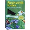 Osivo a semínko Agrostis Trávníky MOZAIKA Směs bylin pro dosev trávníku 200 g