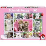 Schmidt Koťata 100 dílků – Zboží Dáma