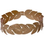 Vavřínový věnec zlatý – Zboží Mobilmania