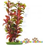Hagen rostlina Red Ludwigia 30 cm – Hledejceny.cz