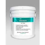 Molykote M-77 Paste Dispersion 1 kg – Sleviste.cz