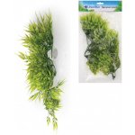 Unionstar Filodendron L 40 cm – Sleviste.cz