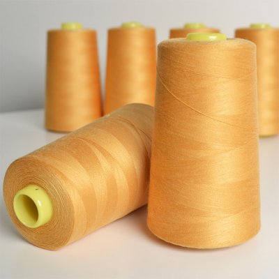 Takoy Overlock / coverlock polyesterová nit NTF 5000 barva hořčicová – Hledejceny.cz