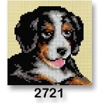VTC Vyšívací předloha 70244 2721 Bernský salašnický pes hnědo-béžová 15x15cm – Hledejceny.cz