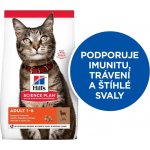 Hill’s Feline Adult Lamb & Rice 1,5 kg – Hledejceny.cz