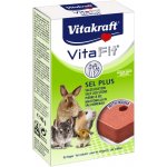 Vitakraft Vita Fit Solný kámen pro hlodavce 40 g – Zboží Dáma