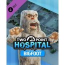 Two Point Hospital: Bigfoot