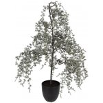 Clayre & Eef Clayre & Eef Vánoční dekorace cedrový stromek v květináči Cedar L - 40*40*85 cm – Hledejceny.cz