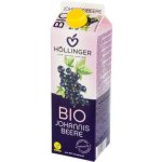 Hollinger Bio džus černý rybíz 1 l – Zbozi.Blesk.cz
