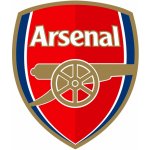 Puma Arsenal Home Socks – Zboží Mobilmania