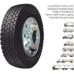 DOUBLE COIN RLB450 295/60 R22.5 L 150 – Hledejceny.cz