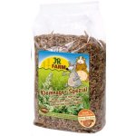 JR Farm Džungarský Křeček Special 600 g – Hledejceny.cz