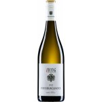 Weingut Franz Keller Rulandské bílé vom Löss suché bílé 2022 13% 0,75 l (holá láhev) – Hledejceny.cz