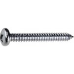 Šroub do plechu 2,9x25 PH, válcová hlava, zinek bílý, 10ks – Zboží Mobilmania