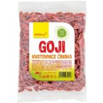 Wolfberry Goji Kustovnice čínská 100 g – Zboží Mobilmania