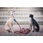 Vsepropejska Climb přepínací vodítko pro psa – Zbozi.Blesk.cz