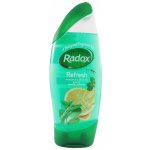 Radox Refresh 2v1 feel good fragrance sprchový gel 250 ml – Zbozi.Blesk.cz