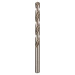 Bosch 2.608.585.509 – Hledejceny.cz