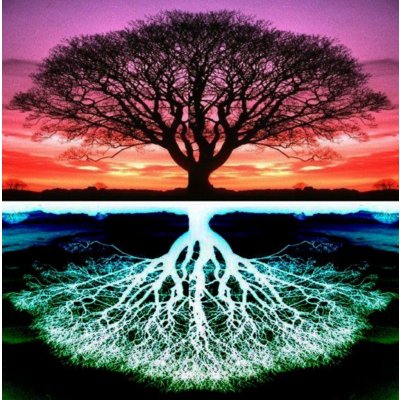 Gaira Malování podle čísel Strom – Zbozi.Blesk.cz