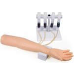 Erler-Zimmer Model lidské paže pro trénink aplikace intravenózní injekce a infuze – Hledejceny.cz