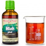 Bylinné kapky HLOH OBECNÝ plod kapky tinktura 50 ml – Hledejceny.cz