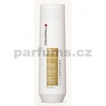 Goldwell Dualsenses Rich Repair Shampoo 250 ml – Zbozi.Blesk.cz