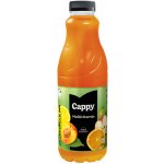 Cappy džus Multivitamin 1 l – Hledejceny.cz