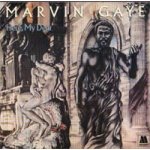 Marvin Gaye - Here My Dear CD – Hledejceny.cz