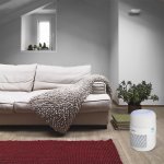 ECG AP1 Compact Pearl – Hledejceny.cz