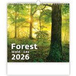 Helma nástěnný Forest/Wald/Les 30 × 30 cm 2026 – Zboží Mobilmania