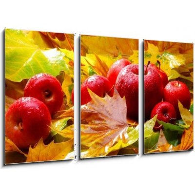 Obraz 3D třídílný - 90 x 50 cm - Harvest. Autumn still life with red apples and leaves Sklizeň. Podzimní zátiší s červenými jablky a listy – Hledejceny.cz