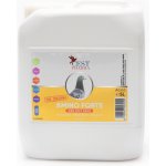 Cest Pharma Amino Forte 5 l – Hledejceny.cz