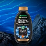 Garnier Botanic Therapy Magnetic Charcoal šampon 400 ml – Zboží Dáma