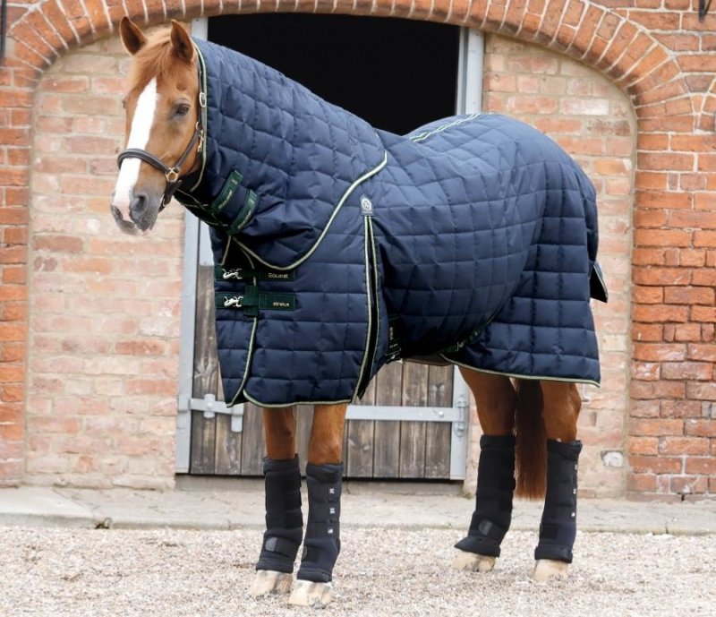 Premier Equine 200 g - acheter sur
