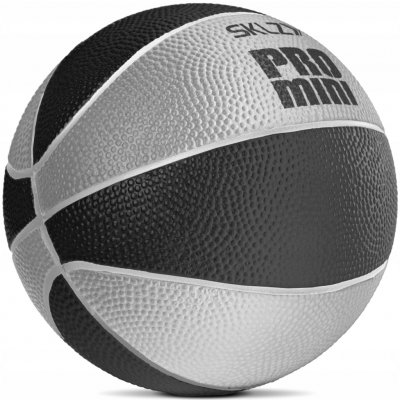 SKLZ Pro Mini Hoop – Zboží Dáma