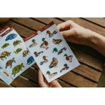 ePiPí samolepky kachny – Zbozi.Blesk.cz