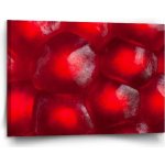 Sablio Obraz Granátové jablko - 120x80 cm – Hledejceny.cz