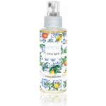 RYOR Citrus Spirit tělový suchý olej sprej 100 ml – Zbozi.Blesk.cz