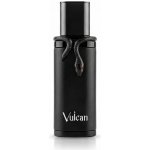 French Avenue Vulcan Black Friday parfém pánský 100 ml – Sleviste.cz