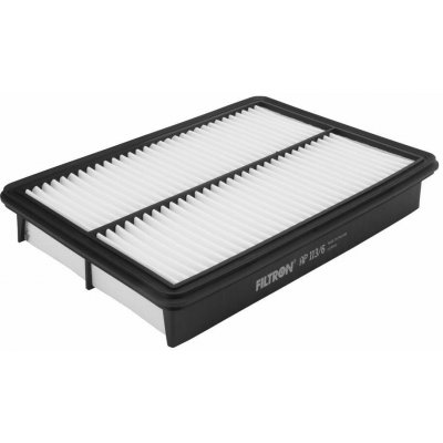 Vzduchový filtr FILTRON AP 113/6 – Zboží Mobilmania