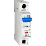 Schrack B10/1 6KA BM618110 – Zbozi.Blesk.cz