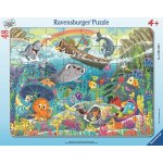 RAVENSBURGER Přátelé z oceánu 48 dílků – Sleviste.cz