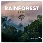 poznámkový Deštné pralesy 30 x 30 cm 2026 – Zboží Dáma