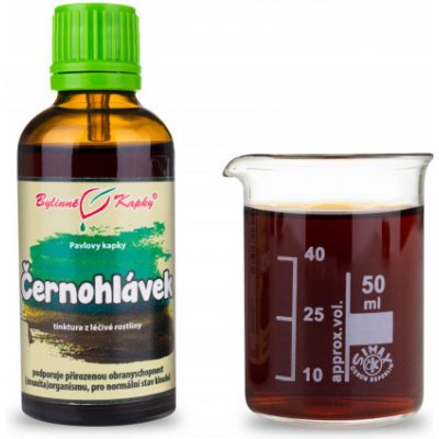 Bylinné kapky Černohlávek nať tinktura 50 ml – Hledejceny.cz