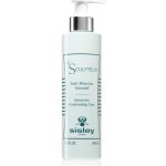 Sisley Le Sculpteur Intenzivní konturovací péče 200 ml – Zboží Dáma Sisley Le Sculpteur Intenzivní konturovací péče 200 ml – Zboží Dáma