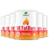 Doplněk stravy na hubnutí Nature’s Finest OK!FatBurn 6x 900 g