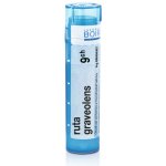 RUTA GRAVEOLENS POR 9CH GRA 4G – Hledejceny.cz