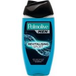 Palmolive Men Pure Arctic sprchový gel 250 ml – Zboží Dáma