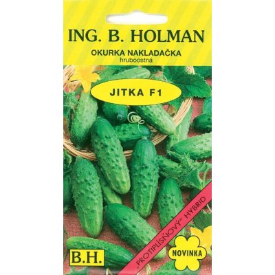 ING. B. HOLMAN Okurka nakl. Holman - Jitka F1 hr 2,5 g